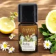 Übelfrei Aromamischung - 5ml - Farfalla