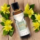 Johanniskraut BIO-Pflegeöl - 75ml - Farfalla