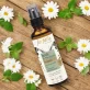 Kamille BIO-Pflanzenwasser - 75ml - Farfalla