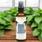 Pfefferminze BIO-Pflanzenwasser - 75ml - Farfalla