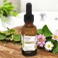 Intimes BIO-Pflegeöl Muskatellersalbei - 30ml - Farfalla