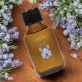 Recharge Bâtonnets parfumés Lavender Field - 150ml - Farfalla