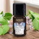 Ätherisches Öl Arabische Minze BIO - 5ml - Farfalla