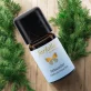 Huile essentielle Cèdre de l'Atlas BIO - 5ml - Farfalla