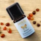 Ätherisches Öl Benzoe Resinoid BIO - 5ml - Farfalla