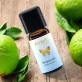 Ätherisches Öl Bergamotte BIO - 10ml - Farfalla