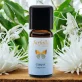 Ätherisches Öl Cajeput BIO - 10ml - Farfalla