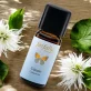 Ätherisches Öl Cajeput BIO - 10ml - Farfalla