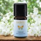 Ätherisches Öl Cistrose BIO - 5ml - Farfalla