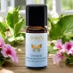 Ätherisches Öl Citronella Chemotyp Geraniol BIO - 10ml - Farfalla