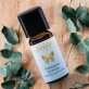 Ätherisches Öl Eukalyptus globulus BIO - 10ml - Farfalla