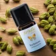 Ätherisches Öl Kardamon BIO - 5ml - Farfalla