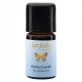 Ätherisches Öl Kiefernnadel BIO - 5ml - Farfalla