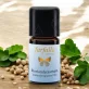 Ätherisches Öl Koriandersamen BIO - 5ml - Farfalla