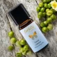 Ätherisches Öl Litsea cubeba BIO - 10ml - Farfalla