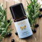 Ätherisches Öl Lorbeer BIO - 5ml - Farfalla