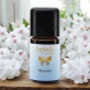 Ätherisches Öl Manuka Wildsammlung - 5ml - Farfalla