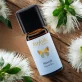 Ätherisches Öl Niaouli BIO - 10ml - Farfalla