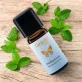 Ätherisches Öl Pfefferminze BIO - 10ml - Farfalla