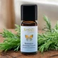 Ätherisches Öl Rosmarin Chemotyp Cineol BIO - 10ml - Farfalla