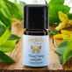Ätherisches Öl Ylang Ylang Complet BIO - 5ml - Farfalla
