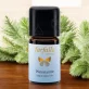 Ätherisches Öl Weisstanne BIO - 5ml - Farfalla