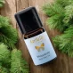 Ätherisches Öl Weisstanne BIO - 5ml - Farfalla