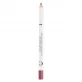 Crayon lèvres Rouge groseille N°144 BIO - 1,1g - Couleur Caramel