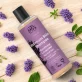 Glanz Shampoo Lavendel BIO - 250ml - Urtekram