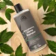 Shampoo für alle Haartypen Hemp BIO - 500ml - Urtekram