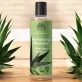 Shampoo für normales Haar Aloe Vera BIO - 250ml - Urtekram