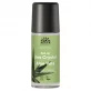 Déodorant à bille BIO aloe vera - 50ml - Urtekram