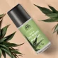 Déodorant à bille BIO aloe vera - 50ml - Urtekram