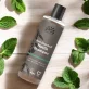 Anti-Schuppen Shampoo Brennnessel BIO - 250ml - Urtekram