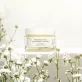 Baume réparateur zones sèches BIO jojoba - 50ml - Minimalistee