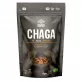 Chaga Pulver BIO - 100g - Iswari