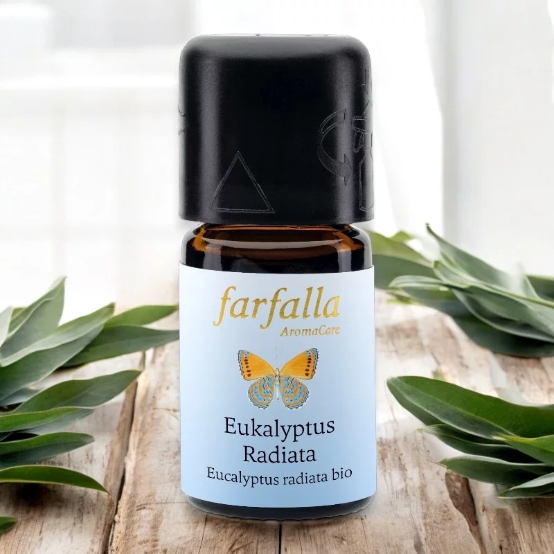 Ätherisches Öl Eucalyptus radiata BIO - 5ml - Farfalla