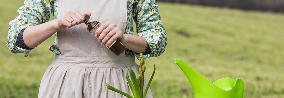 Verwendung von Schmierseife im Garten und auf Pflanzen