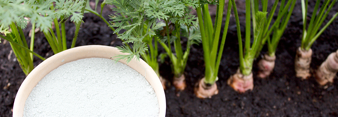 Cultiver un jardin sain avec du bicarbonate de soude : conseils et astuces