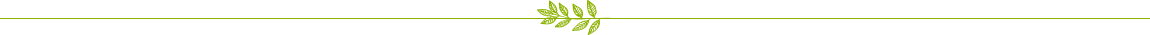 separateur-gauche.png